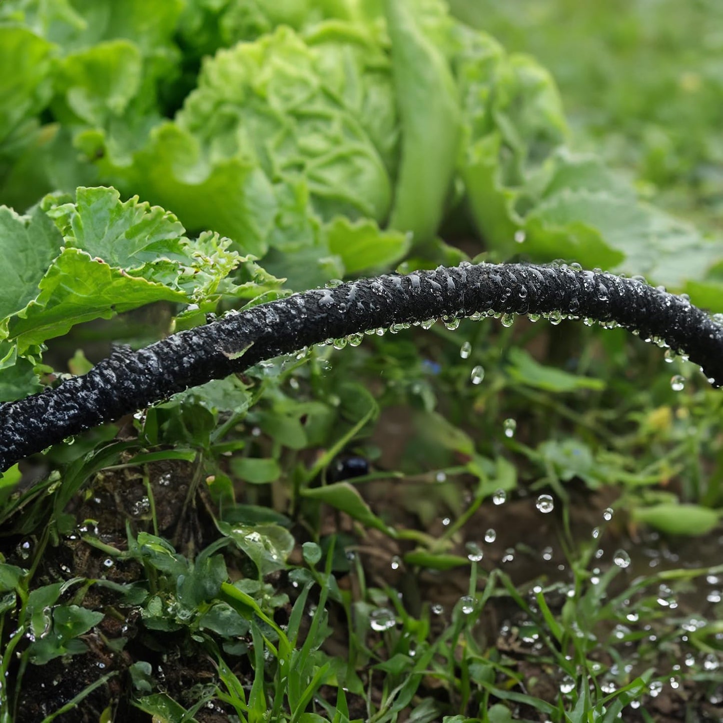 Hourleey Flat Soaker Hose 200 FT for Garden, 200' (50FT x 4) Linkable Consistent Drip Irrigation Hose, Leak-free Dual-layer Design Saving 80% Water Garden System Water Hose with Holes