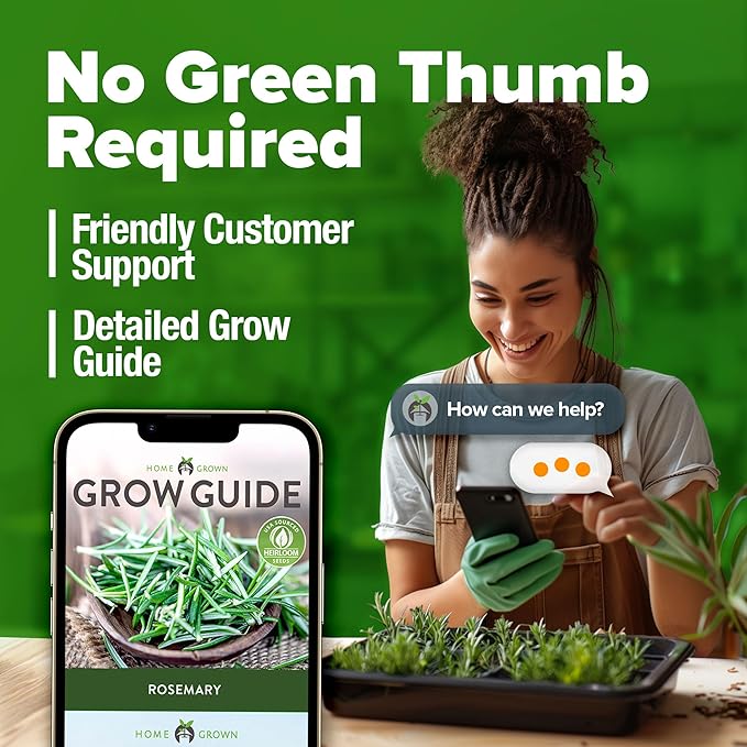 HOME GROWN Rosemary Seeds Pack - 300 High Germinating π‘π’π‘-ππ π’, π¨π¦π-π¦π’π¨π₯πππ Heirloom Herb Seeds for Planting in Indoor or Outdoor Herb Gardens (Salvia rosmarinus)