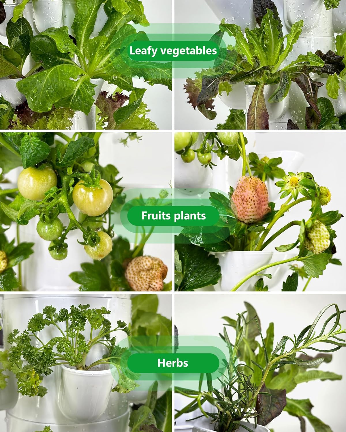 Hydroponic Tower Growing System,30 Pods Vertical Garden,Suitable for Indoor and Outdoor, Grow Herbs and Vegetables,Houseplant Farming with Water Circulation and Automatic Timer