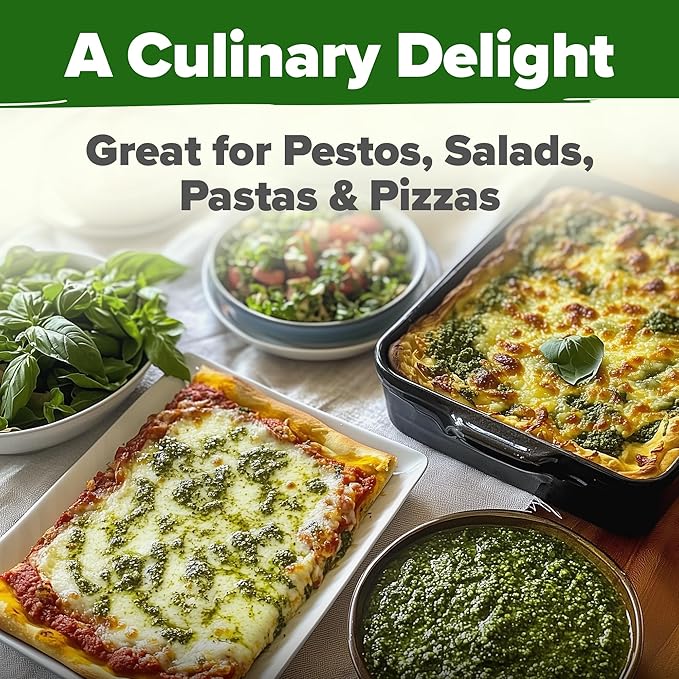 HOME GROWN π¨π¦π π£π₯ππ ππ¨π  Italian Basil Seeds Bulk Pack 1,424 Sweet Large Leaf Basil Seeds for Planting π‘π’π‘-ππ π’ and Heirloom Herb Seeds for Planting Indoors or Outdoors (Ocimum basilicum)