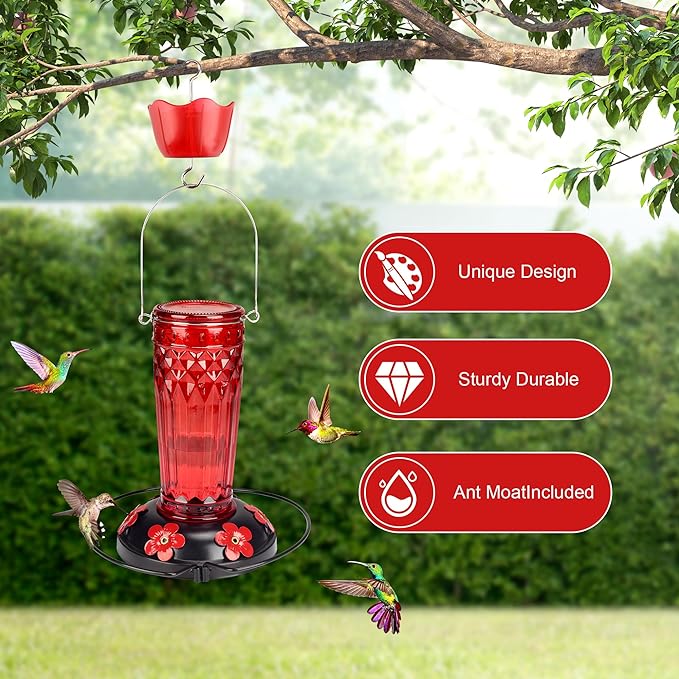 Hummingbird Feeder-16 Ounces,6 Feeding Ports Glass Hummingbird feeders for Outdoors,Wide Mouth for Easy Filling/Cleaning,Hanging for Garden Backyard Decor, Includes Ant Moat (Red)