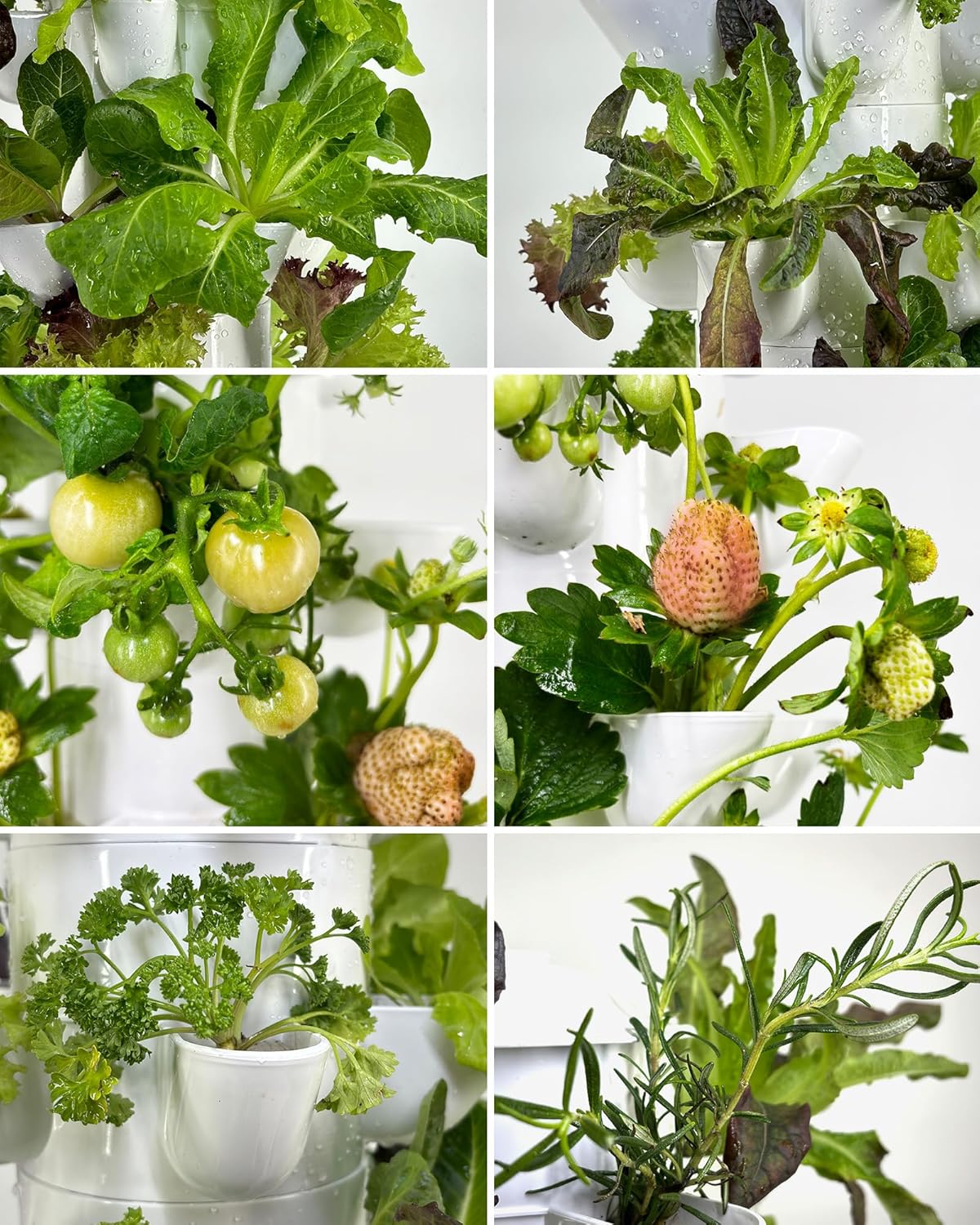 Hydroponic Tower Growing System,45 Pods Vertical Garden,Suitable for Indoor and Greenhouse, Grow Herbs and Vegetables,Houseplant Farming with Water Circulation and Automatic Timer