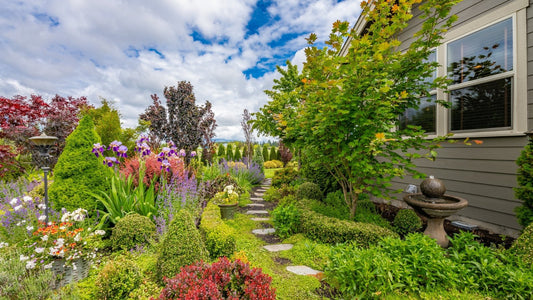 Beginner-Friendly Plants That Anyone Can Grow in Their Garden