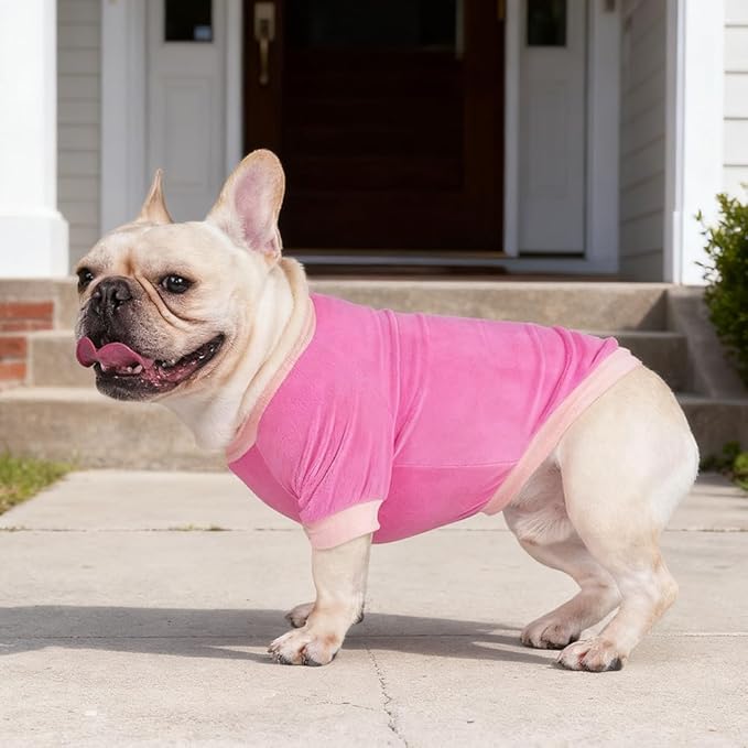 GreenJoy Classic Fleece Dog Sweater – Soft & Warm Stretchy Sweatshirt for Small Dogs & Cats, Cold-Weather Pullover for Everyday Wear (Dark Pink, Large/X-Large)