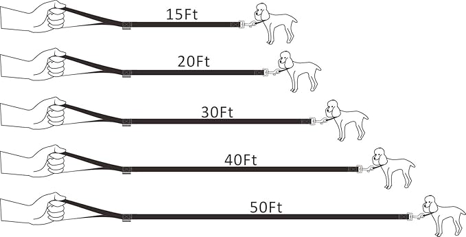 Dog/Puppy Obedience Recall Training Agility Lead - 20ft Long Training Leash，3/4in Wide - Great for Play, Camping, or Backyard (20 Feet, Black)