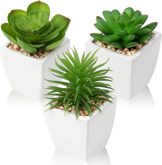 Hollyone Succulents Plants Artificial 3Pcs Small Fake Succulents in Pots Faux Plastic Potted Plants with White Ceramic Pot for Home Decor Classroom Office Bathroom Shelf Indoor & Outdoor Decorations