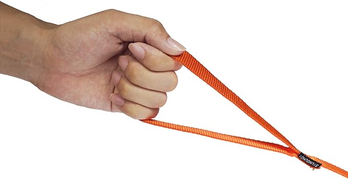 Dog/Puppy Obedience Recall Training Agility Lead - 15ft 20ft 30ft 40ft 50ft Training Leash - Great for Play, Camping, or Backyard - Orange 15ft (15Feet, Orange)
