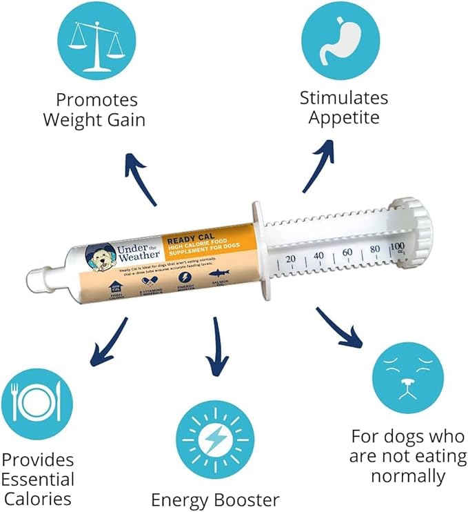 Under the Weather Pet | Ready Cal for Dogs 100cc | High Calorie Supplement | Dog Weight Gainer and High Calorie Booster | 10 Vitamins, 7 Minerals & Omega Fatty Acids (2 Pack)