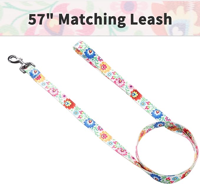 Ihoming Puppy Collar and Leash Set for Daily Outdoor Walking Running Training, White Colorful Flowers Design for Extra Small Boys Girls Dogs Cats Pets, XS-Up to 10LBS