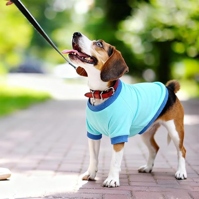 GreenJoy Classic Fleece Dog Sweater – Soft & Warm Stretchy Sweatshirt for Small Dogs & Cats, Cold-Weather Pullover for Everyday Wear (Light Blue, Medium)