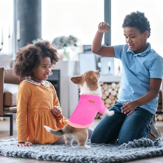 GreenJoy Classic Fleece Dog Sweater – Soft & Warm Stretchy Sweatshirt for Small Dogs & Cats, Cold-Weather Pullover for Everyday Wear (Dark Pink, Medium)