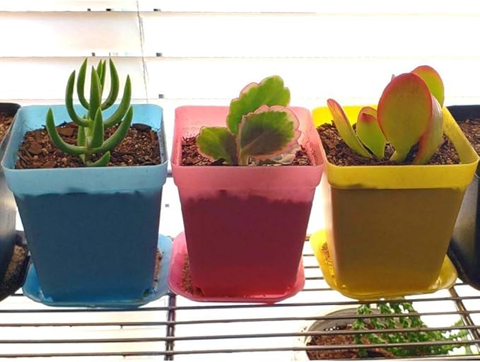 Hedume 70 Pack Mini Plastic Flower Seedling Nursery Pot with Pallet, 3" Colorful Square Plant Pot, Indoor Outdoor Flower Plant Container, Decor for Room, Garden, Office and Balcony (7 Colors)