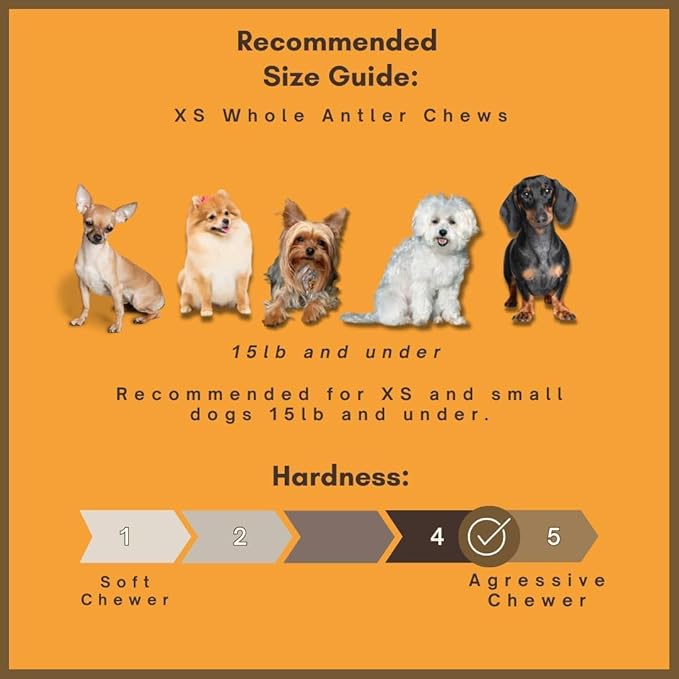 WhiteTail Naturals - Antlers for Extra Small Dogs (6 Pack) Deer Antler Dog Chew Bones for Extra Small Aggressive Chewers - Long Lasting Horn Chew Toys - Naturally Shed