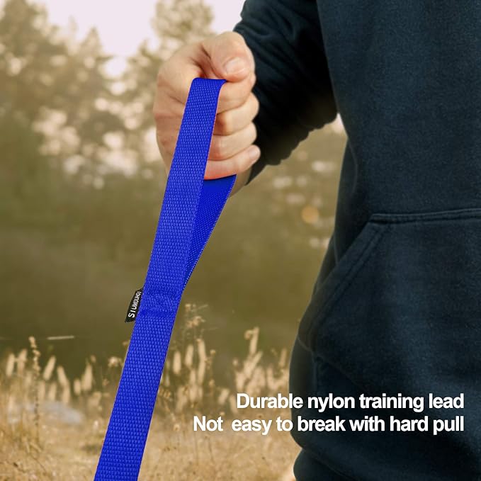 Dog/Puppy Obedience Recall Training Agility Lead - 15ft 20ft 30ft 40ft 50ft Training Leash - Great for Play, Camping, or Backyard - Blue 15ft (15Feet, Blue)