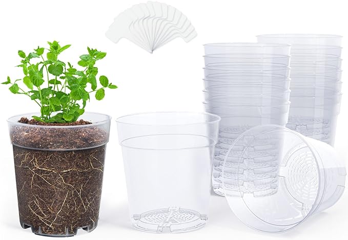 homenote Clear Nursery Pots for Plants,7 Inch Plant Pot for Planting Plastic Seedling with Drainage Holes Seed Starter Flower High Transparency with 20 Labels (15 Pack)