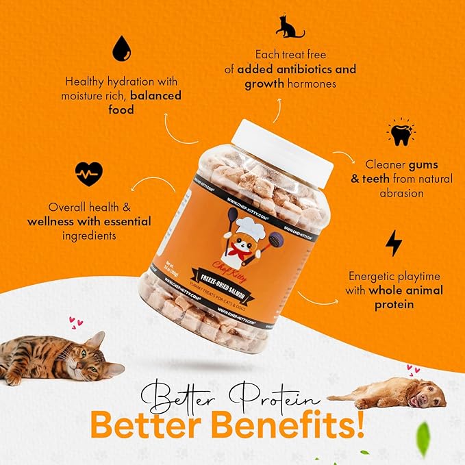 Freeze-Dried Salmon Treats for Cats & Dogs – 100% Wild Caught, Single Ingredient, High-Protein, Healthy Snack – No Additives or Preservatives – 5.3oz - Inspected & Tested in USA