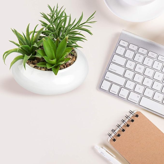 Hollyone Large Artificial Succulents Plants Faux Succulents in Pots Fake Succulent Plastic Potted Plants with White Ceramic Pot for Home Decor Office Desk Bathroom Shelf Living Room Decoration