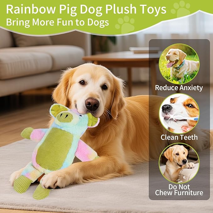 Dog Toys Plush, Squeaky Stuffed Dog Toy, Rainbow Pig Dog Toys for Small Medium Breeds, Soft Dog Plush Toy, Puppy Teething Dog Toy, Interactive Dogs Toy for Indoor Dogs(Green)