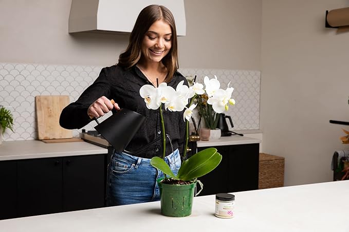 rePotme Orchid Pot - 8 inch Slotted Orchid Pots with Holes - 3 Pack (Blue Sapphire)
