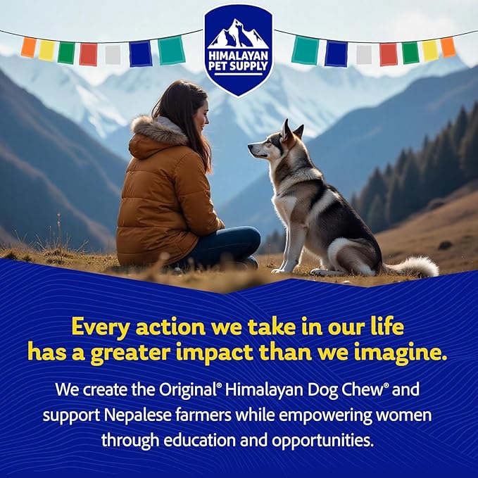 Himalayan Dog Chew Cheese Chews, Long Lasting, Stain Free, Protein Rich, Low Odor, 100% Natural, Healthy & Safe, No Lactose, Gluten Or Grains, 2.5 lbs BULK TUB, MEDIUM, for 35 Lbs & Smaller