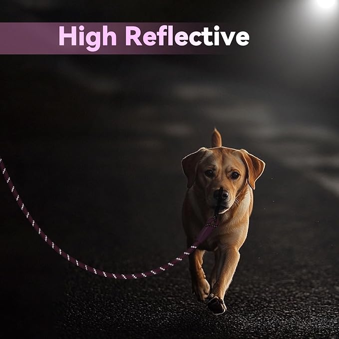 Nylon Dog Leash 6FT 10FT 20FT 30FT Diameter 2/5 Inch with Comfortable Silicone Handle Highly Reflective No Tangle for Medium Large Dogs Outside Walking Camping Backyard. (Pink, 30FT)