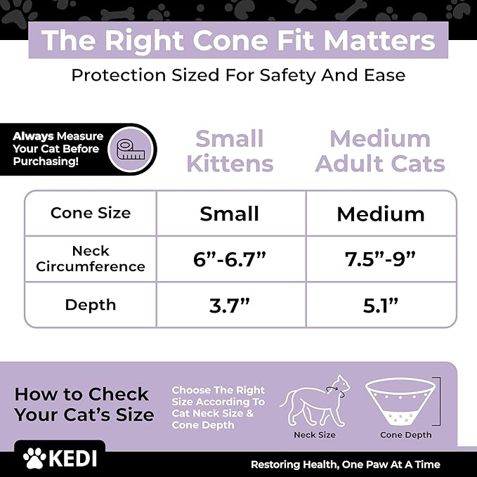 Cat Recovery Cone Kit Post Surgical Soft Pet Vest, Collar, and Non-Irritating Protection Cone for Cats - Comfortable Injury Care Solution (Black with White Paws, Medium)