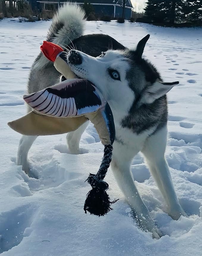 Spunky Pup Fly & Fetch Plush Dog Toy - Duck