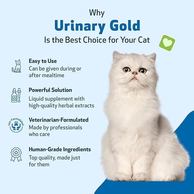 Pet Wellbeing Urinary Gold for Cats - Vet-Formulated Multi-Herb Urinary Tract Support - Feline Bladder Health & Urinary System Wellness - Holistic Cat Supplement - Liquid Formula 4 oz (118 ml)