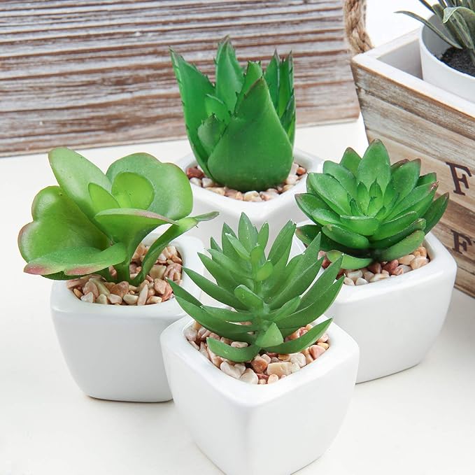 Hollyone Succulents Plants Artificial 4Pcs Small Fake Succulents in Pots Faux Plastic Potted Plants with White Ceramic Pot for Home Decor Office Desk Bathroom Shelf Indoor & Outdoor Decoration