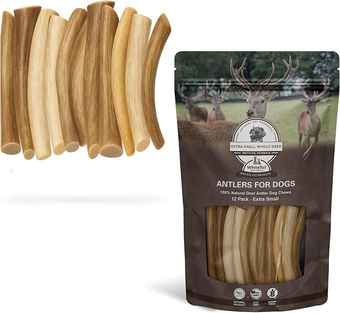 WhiteTail Naturals - Deer Antlers for Extra Small Dogs (12 Pack) Natural Dog Antler Chews for Puppies & Small Aggressive Chewers - Long Lasting Chew Bones