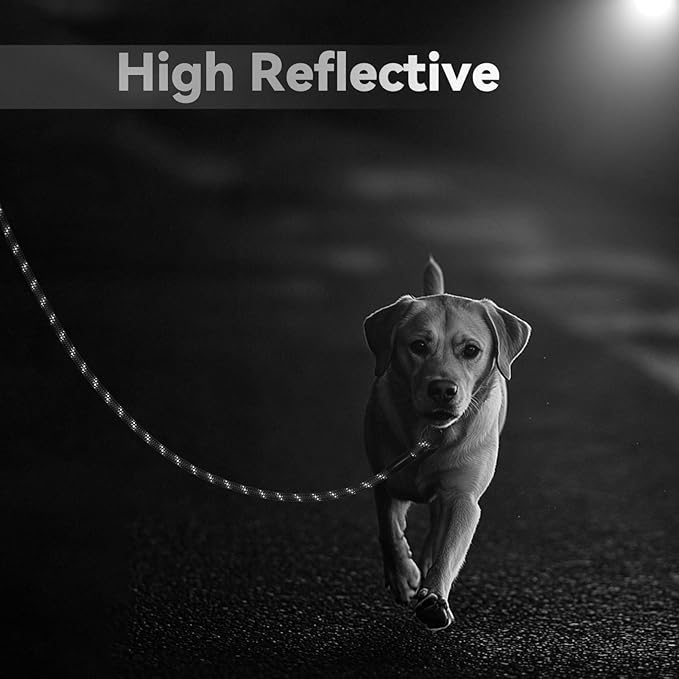 Nylon Dog Leash 6FT 10FT 20FT 30FT Diameter 2/5 Inch with Comfortable Silicone Handle Highly Reflective No Tangle for Medium Large Dogs Outside Walking Camping Backyard. (Black, 20FT * 2/5Inches)