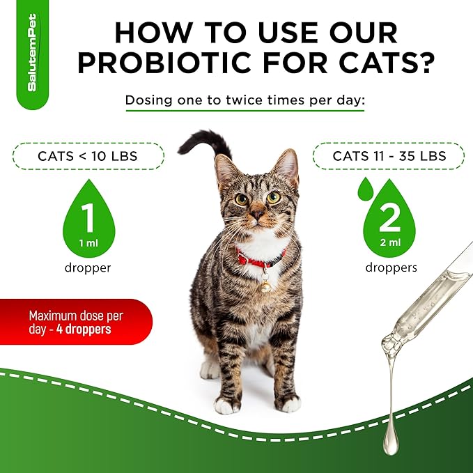 Probiotics for Cats for Digestive Support – Cat Probiotics for Indoor Cats Help with Colic, Upset Stomachs, Diarrhea, Gas, and Bloating – Prebiotics + Pleasant Chicken Flavor Inside – 2 Oz