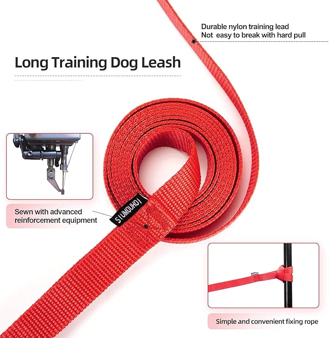 Dog/Puppy Obedience Recall Training Agility Lead - 15ft 20ft 30ft 40ft 50ft Training Leash - Great for Play, Camping, or Backyard (Mint Blue, 15 Feet)