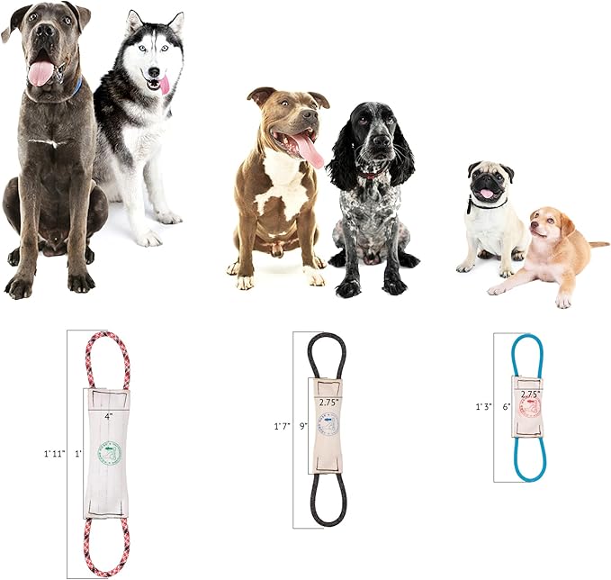 Rock-N-Rescue Hound Hose Firehose Dog Toy - Interactive Training Tug Rope from Durable Recycled Fire Hose. Indoor Outdoor Fetch Toy, Small with Rescue Rope Handles