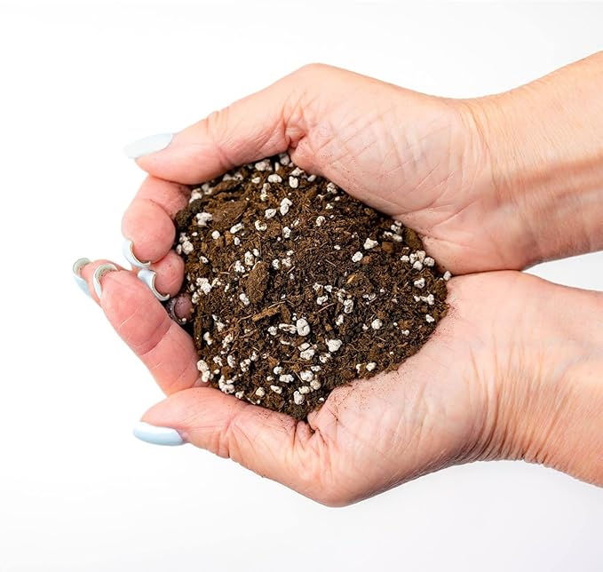 House Plant and Tropical Plant Potting Soil - Re-Potting Soil for All Types of Indoor House Plants - 5 Quart Bag