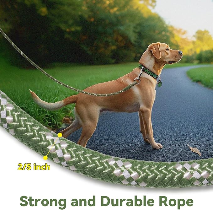 Nylon Dog Leash 6FT 10FT 20FT 30FT Diameter 2/5 Inch with Comfortable Silicone Handle Highly Reflective No Tangle for Medium Large Dogs Outside Walking Camping Backyard. (Green, 20FT)