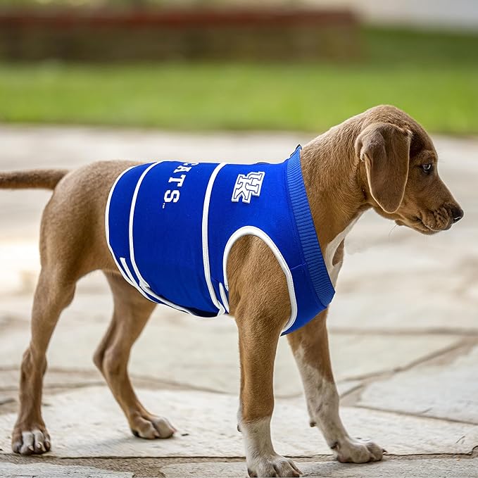 NCAA Kentucky Wildcats Dog Anxiety Shirt Calming Soothing Vest for Dogs Cats with Anxiety, Fears, Fireworks, Loud Noises, Dark, Lonely Keeps Dogs Calm & Feeling Safe, Relaxing Jacket, X-Small