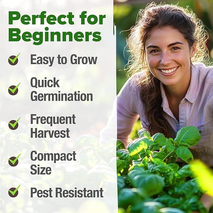 HOME GROWN 𝗨𝗦𝗔 𝗣𝗥𝗘𝗠𝗜𝗨𝗠 Genovese Basil Seeds Pack 1,750+ High Germination 𝗡𝗢𝗡-𝗚𝗠𝗢 Heirloom Seeds (Ocimum basilicum) Herb Seeds for Planting Indoor & Outdoor Gardening, for Culinary Use