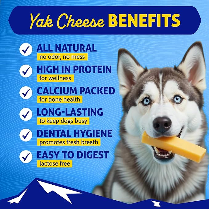 Himalayan Dog Chew Original Yak Cheese Chew, 1 Medium Stick, 2.3 oz, Gluten Free, Healthy Treats, Grain & Lactose Free 100% Natural, Long Lasting, for Dogs Under 35 lbs