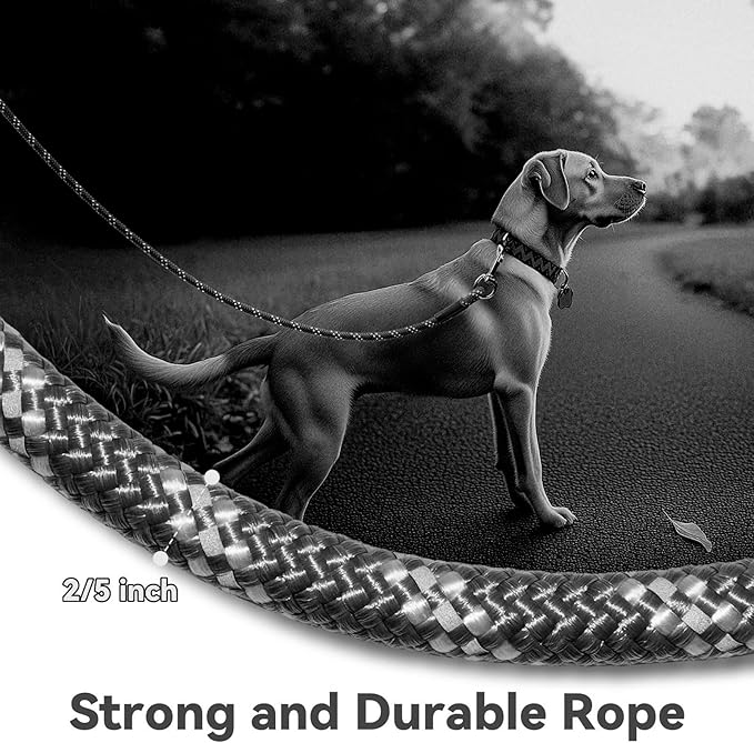 Nylon Dog Leash 6FT 10FT 20FT 30FT Diameter 2/5 Inch with Comfortable Silicone Handle Highly Reflective No Tangle for Medium Large Dogs Outside Walking Camping Backyard. (Black, 20FT * 2/5Inches)
