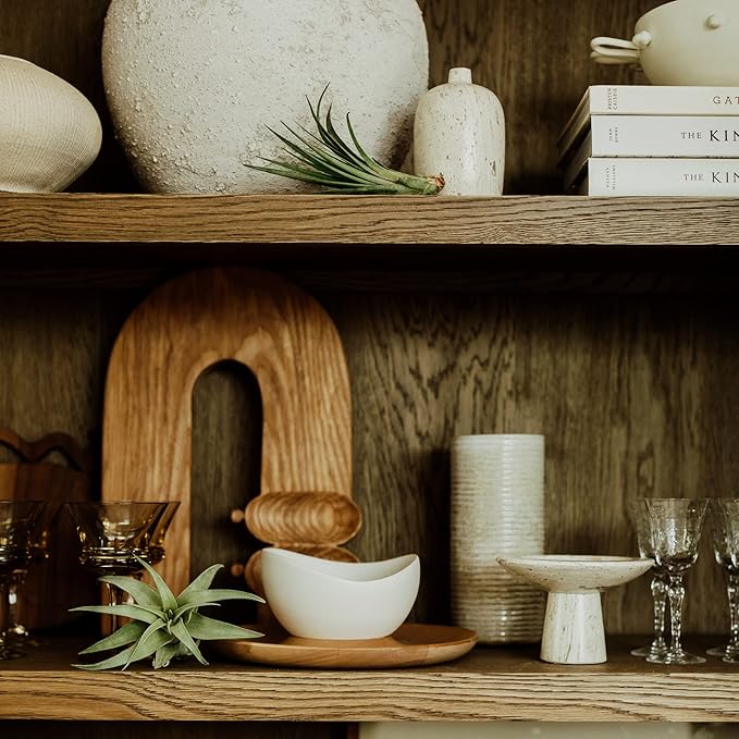 Holiday Hosting Gift Box Giant - 13ct -Tillandsia Air Plant Set - Live Arrival Guaranteed - House Plants for Home Decor & Gift