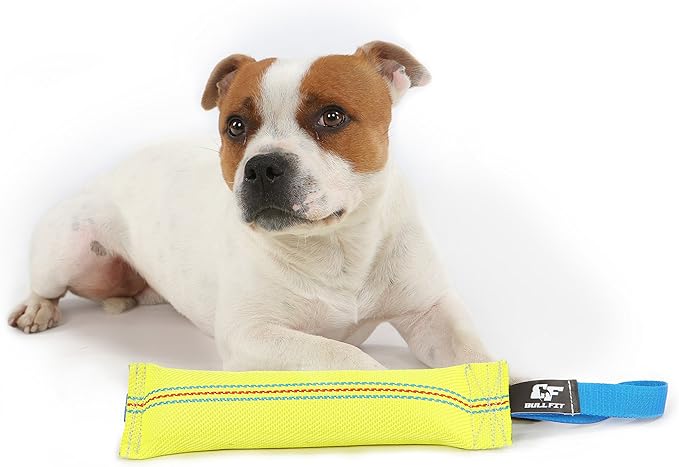 Dog Bite Tug Toy 10 inches - Durable, Interactive Toys for Medium to Large Dogs - Perfect for Tug of War, Fetch & Puppy Training - Safe Fire Hose Dog Tug with Strong Handle - Tough Floating Pull Toy