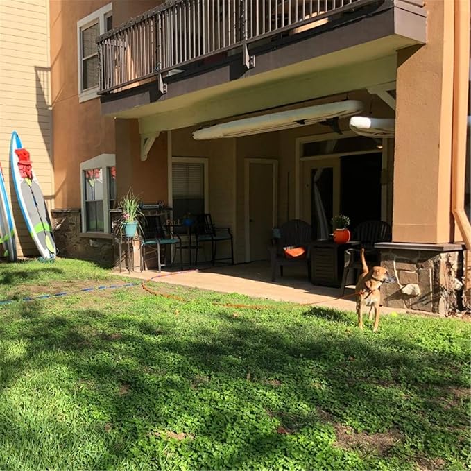 Dog/Puppy Obedience Recall Training Agility Lead - 15ft 20ft 30ft 40ft 50ft Training Leash - Great for Play, Camping, or Backyard (Military Green, 20 Feet)