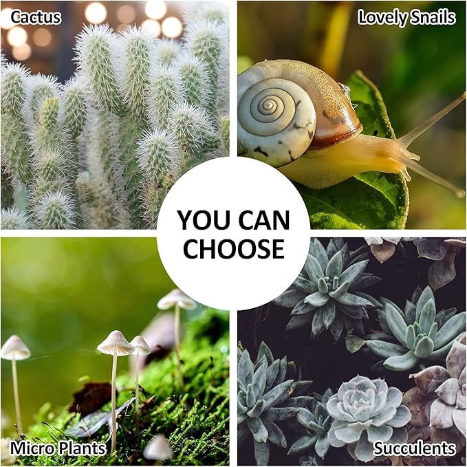 HighFree Geometric Terrarium Planter with Swing Lid, House Shape Black Handmade Glass Box, Vintage Tabletop Miniature Terrarium, for Succulent, Cacti, Air Plants (Not Watertight - 9.2x5.5x7.3 inch)