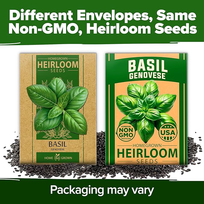HOME GROWN Genovese Basil Seeds 2 Pack - 3500 𝗡𝗢𝗡-𝗚𝗠𝗢 𝗨𝗦𝗔 Heirloom Basil Seeds for Planting (Ocimum basilicum) - Herb Seeds for Indoor & Outdoor Gardening - Grow for Culinary Use