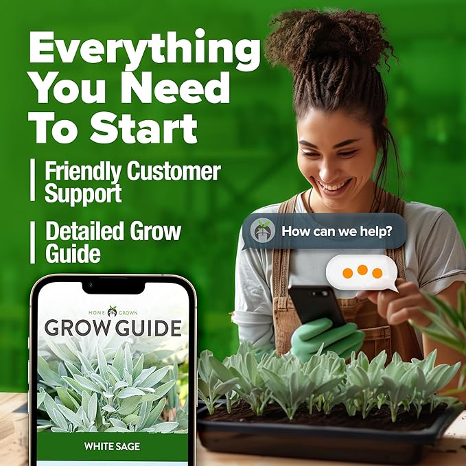 HOME GROWN White Sage Seeds 646 Pack 𝗡𝗢𝗡-𝗚𝗠𝗢, 𝗨𝗦𝗔-𝗦𝗢𝗨𝗥𝗖𝗘𝗗 Heirloom Seeds - Grow Aromatic Sage Plants for Your Herb Seeds Garden with Sage for Planting Outdoor or Indoor (Salvia apiana)