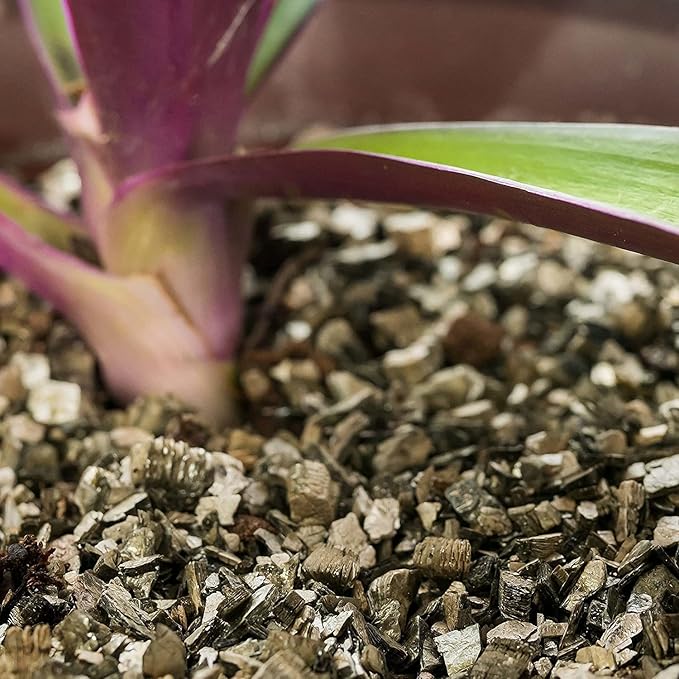 Horticultural Organic Vermiculite by GARDENERA - Medium Grade - Natural Soil Additive for Potted Plants, Orchids, Hydroponics, Terrariums (5 Quart)