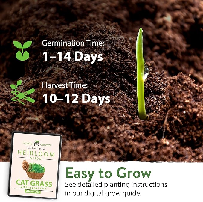HOME GROWN 3 Cat Grass Seed Mix – Non-GMO Heirloom Oat, Alfalfa & Cat Grass Seeds | Indoor Pet Grass for Cats | High-Germination Greens for Hairball Control, Digestion, and Chewing Enrichment