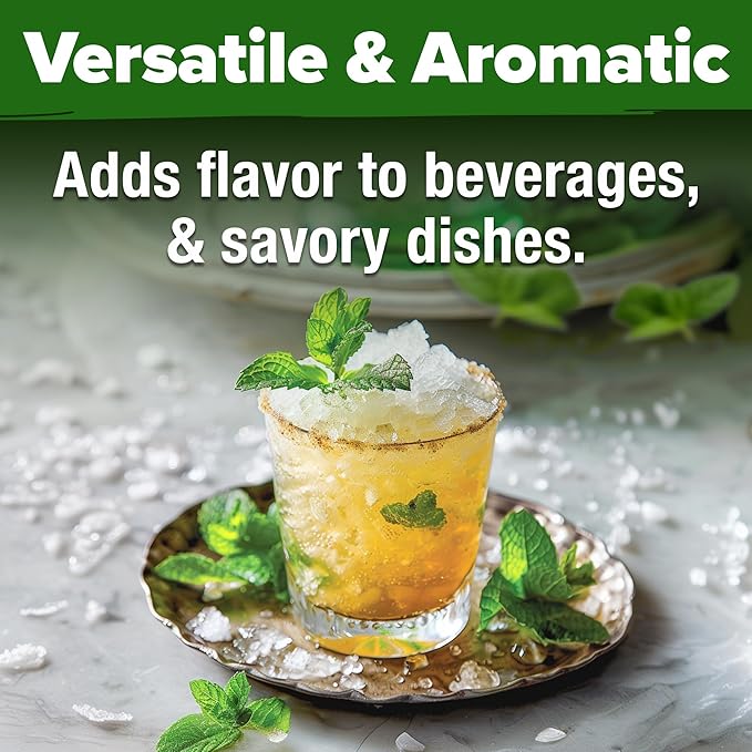 HOME GROWN Premium Common Mint Seeds (Bulk Pack) 3,600 𝗡𝗢𝗡-𝗚𝗠𝗢 𝗨𝗦𝗔 Heirloom Herb Seeds, USA Sourced | Ideal for Planting Outdoors or Indoors for a Fresh Mint Tea Garden (Mentha spp)