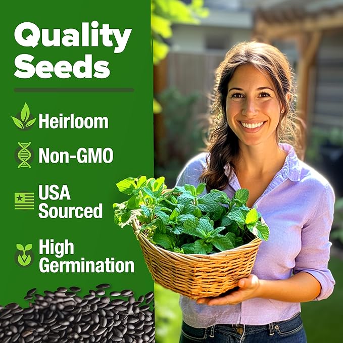 HOME GROWN Peppermint Seeds 2 Pack (Mentha × piperita) – 4,740 Heirloom Mint Seeds for Planting – 𝗡𝗢𝗡-𝗚𝗠𝗢, 𝗨𝗦𝗔-𝗦𝗢𝗨𝗥𝗖𝗘𝗗 – Grow Indoors or Outdoors, Kitchen Herb Garden Favorite
